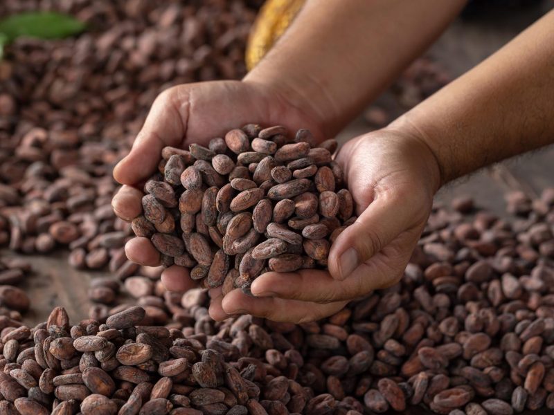 Cacao: il superfood che fa bene al corpo e alla mente