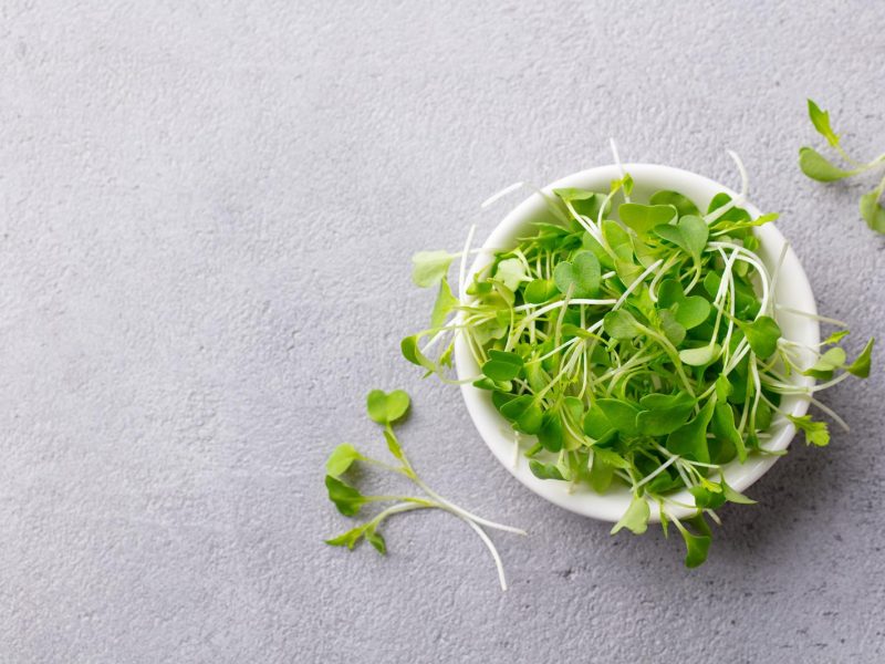 Crescione: il superfood dimenticato che sta conquistando il mondo della salute e del benessere