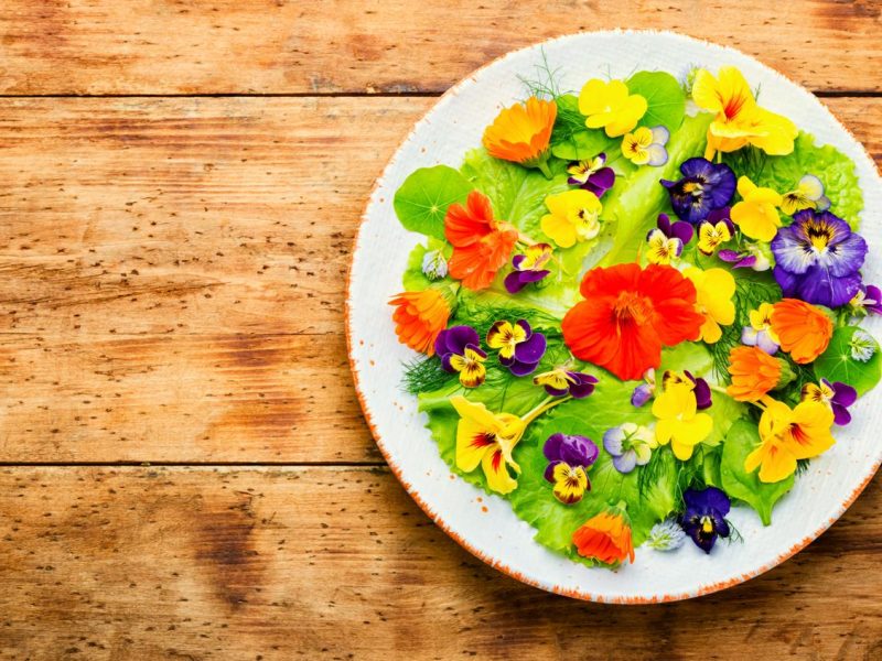Scopri i segreti del Nasturzio: benefici, curiosità e utilizzi in cucina!