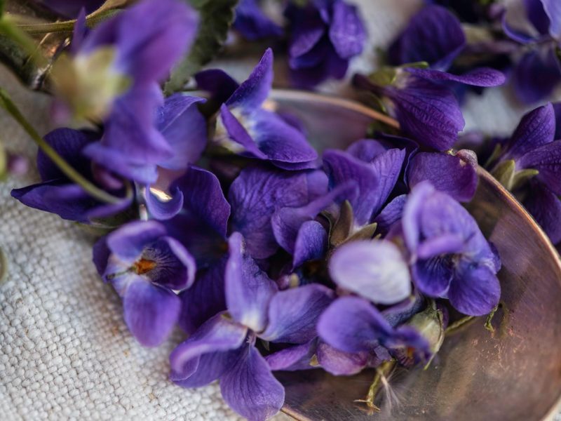 Viola Mammola: il segreto di bellezza delle donne italiane