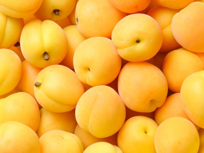 Le albicocche: il segreto per mantenere la linea o un nemico nascosto nella tua dieta?